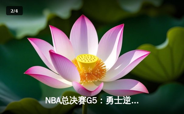 NBA总决赛G5：勇士逆转凯尔特人夺赛点，库里砍下43分创纪录 - 2